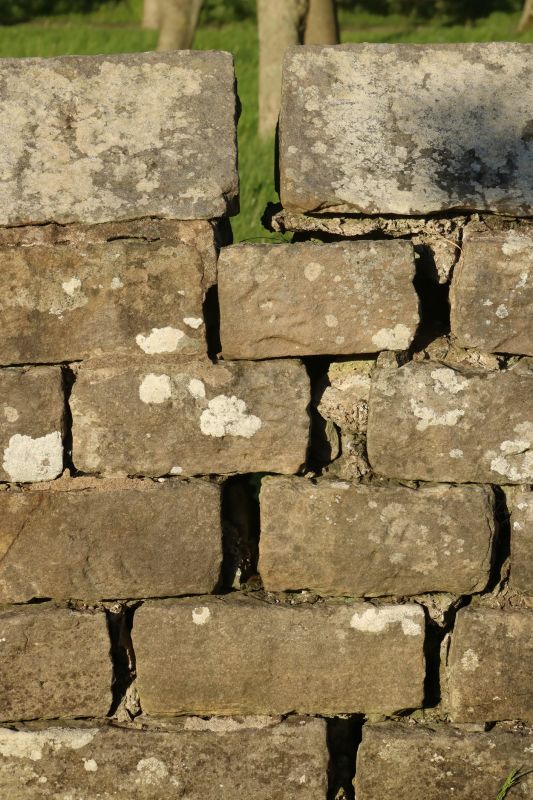 Stone Wall Repair in Dillon, CO